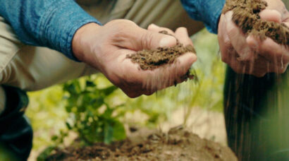 caracteristicas-do-solo-arenoso-1-925x308