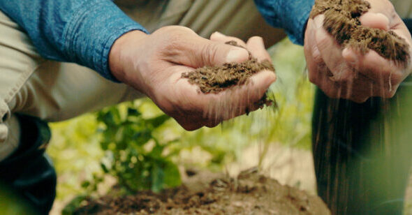 caracteristicas-do-solo-arenoso-1-925x308