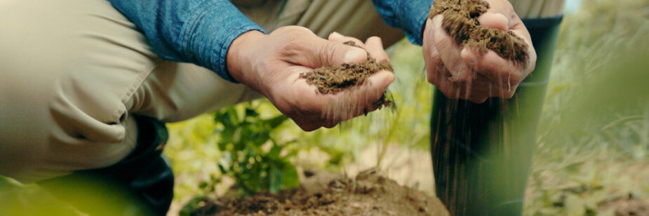 caracteristicas-do-solo-arenoso-1-925x308