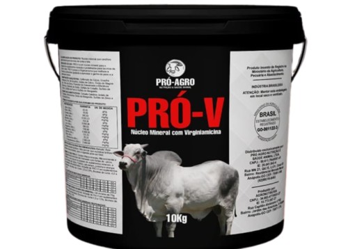 Design sem nome - 2023-12-02T152331.806