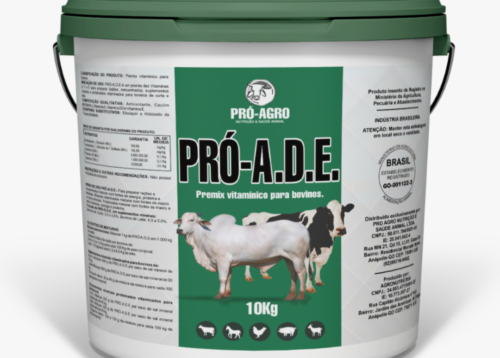 Design sem nome - 2023-12-05T091601.341