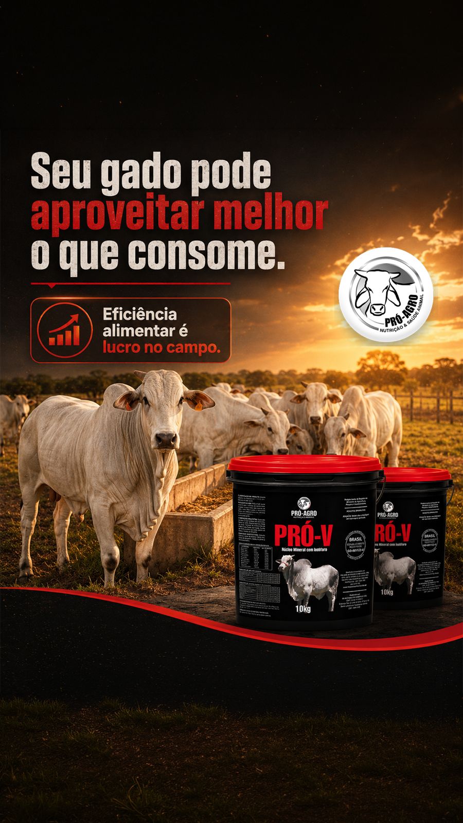 pro-v-iodoforo-nova-embalagem