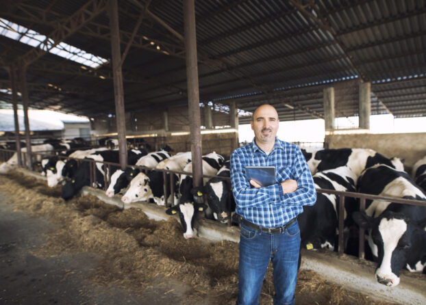 Portrait of cattleman farmer standing in front of cows and holding tablet at the farm.