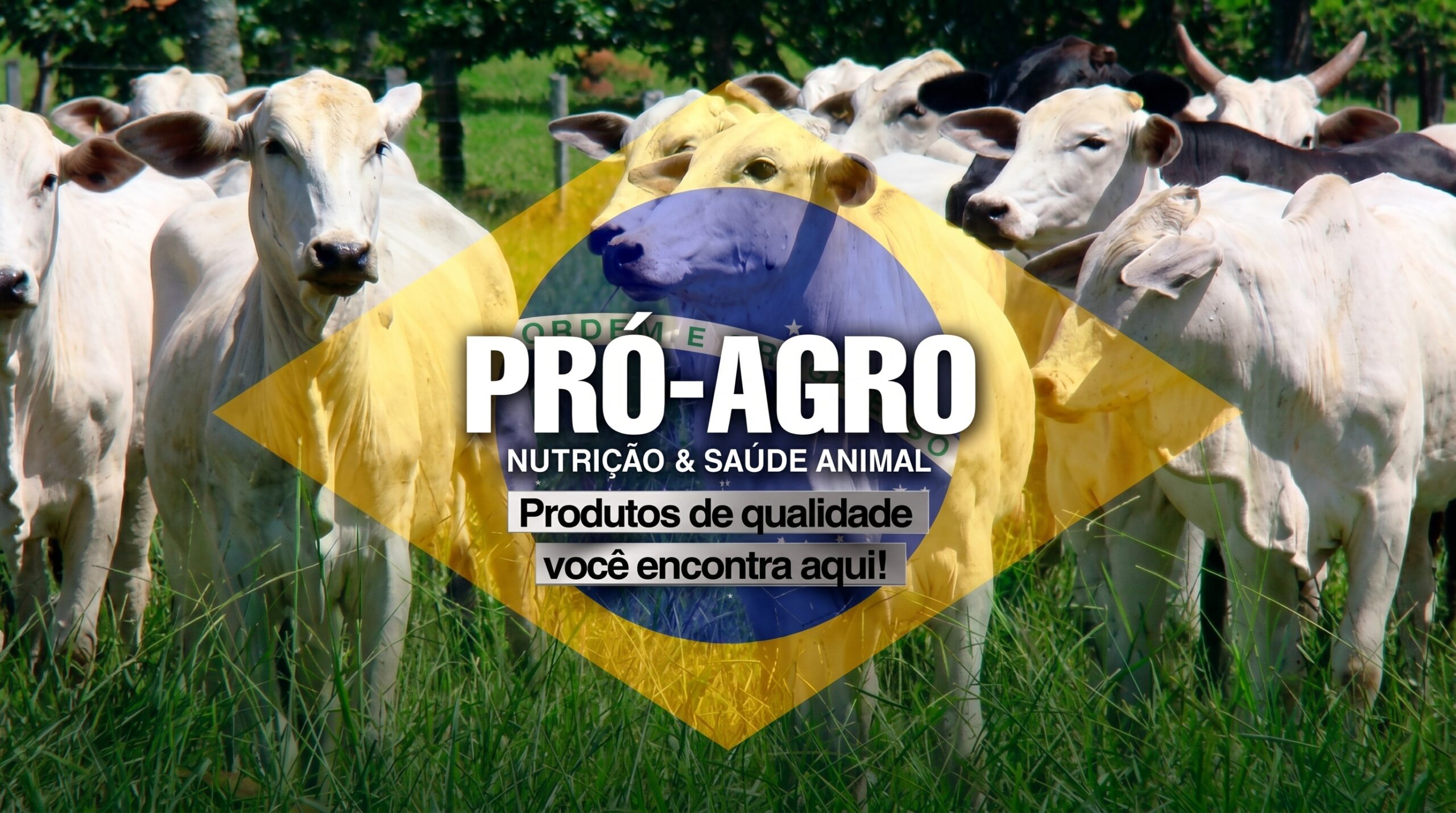 COLOQUE_OS_ANIMAIS_MAIS_VISIVEIS_202606251810