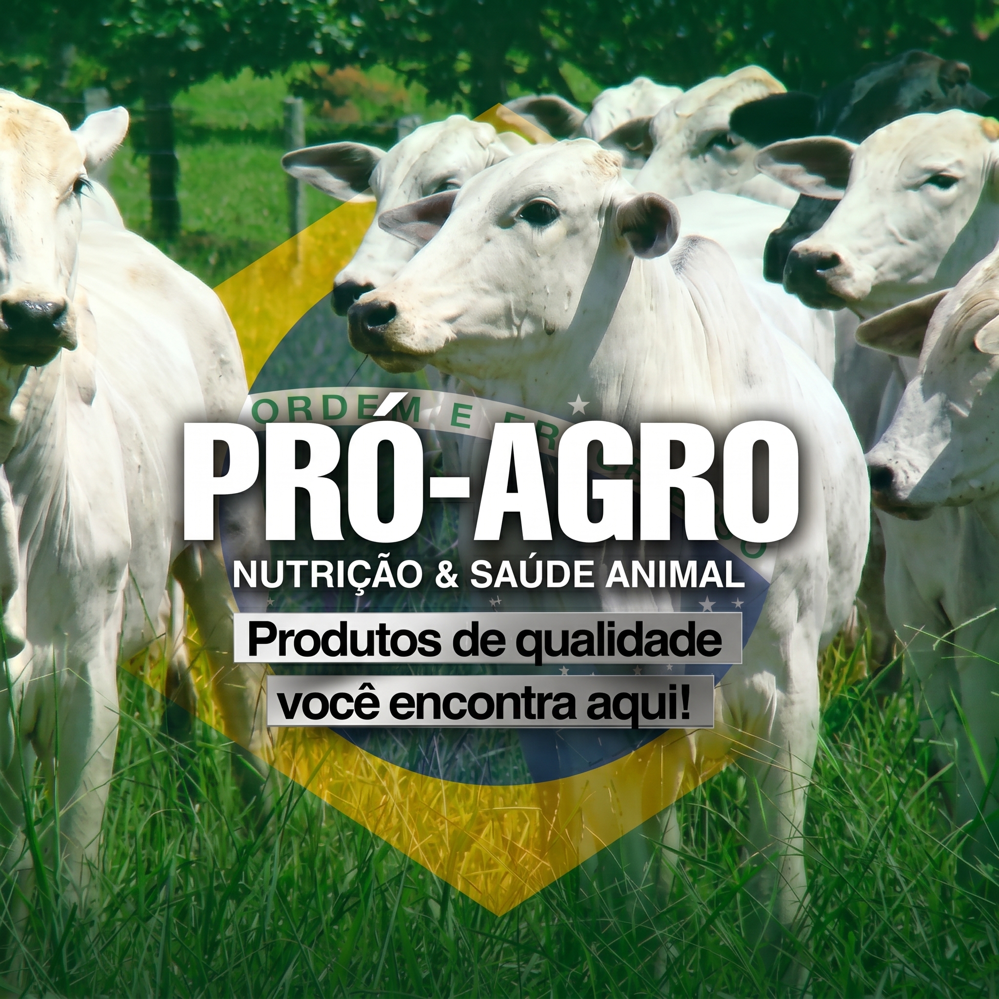 COLOQUE_OS_ANIMAIS_MAIS_VISIVEIS_202606251813